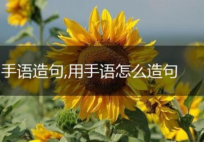 手语造句,用手语怎么造句