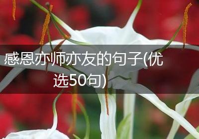 感恩亦师亦友的句子(优选50句)