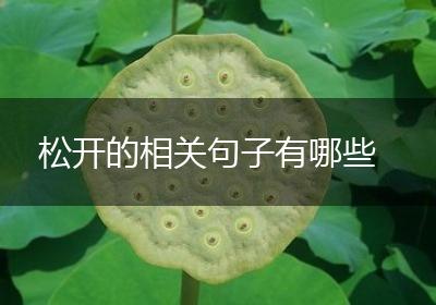 松开的相关句子有哪些