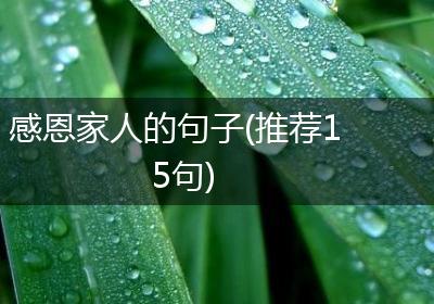 感恩家人的句子(推荐15句)