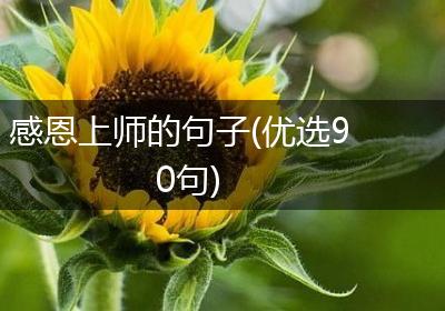 感恩上师的句子(优选90句)