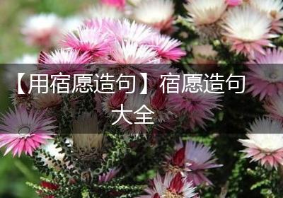 【用宿愿造句】宿愿造句大全