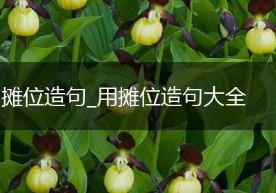摊位造句_用摊位造句大全