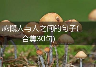 感慨人与人之间的句子(合集30句)