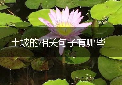 土坡的相关句子有哪些