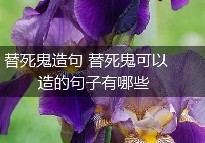 替死鬼造句 替死鬼可以造的句子有哪些