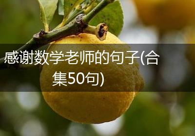 感谢数学老师的句子(合集50句)