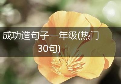 成功造句子一年级(热门30句)