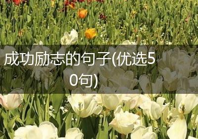 成功励志的句子(优选50句)