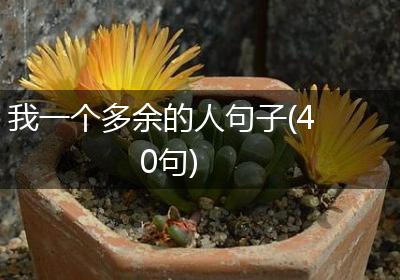 我一个多余的人句子(40句)