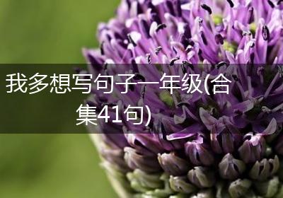 我多想写句子一年级(合集41句)