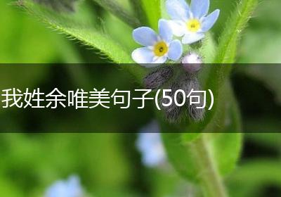 我姓余唯美句子(50句)