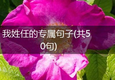 我姓任的专属句子(共50句)