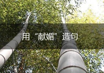 用“献媚”造句