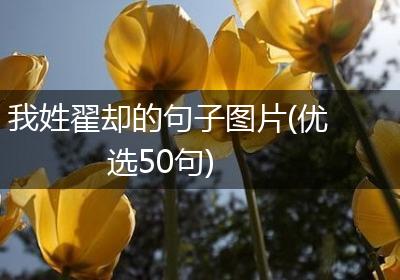 我姓翟却的句子图片(优选50句)