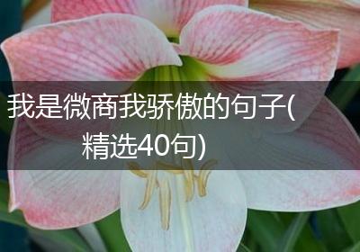 我是微商我骄傲的句子(精选40句)