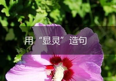 用“显灵”造句