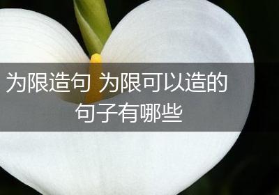 为限造句 为限可以造的句子有哪些