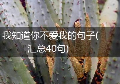 我知道你不爱我的句子(汇总40句)