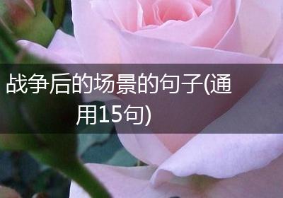 战争后的场景的句子(通用15句)