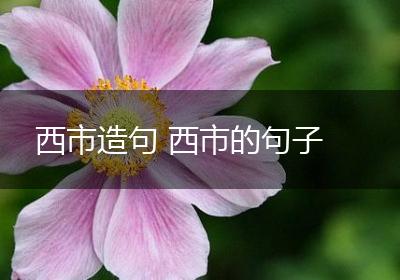 西市造句 西市的句子