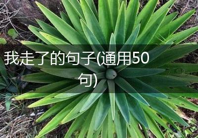 我走了的句子(通用50句)