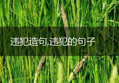 违犯造句,违犯的句子