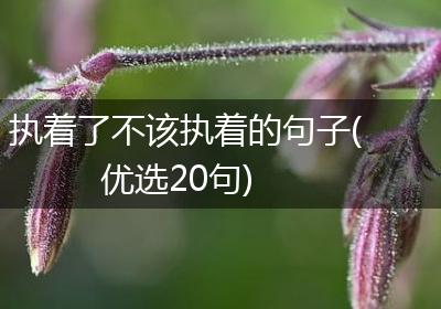 执着了不该执着的句子(优选20句)
