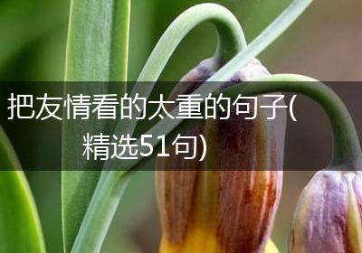 把友情看的太重的句子(精选51句)