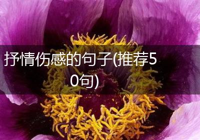 抒情伤感的句子(推荐50句)