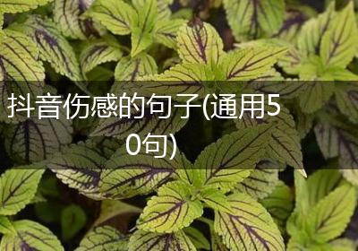 抖音伤感的句子(通用50句)