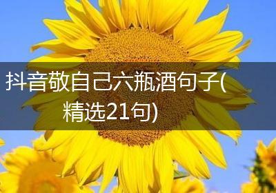 抖音敬自己六瓶酒句子(精选21句)