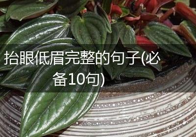 抬眼低眉完整的句子(必备10句)