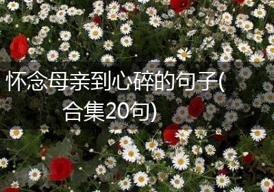 怀念母亲到心碎的句子(合集20句)