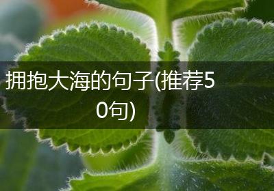 拥抱大海的句子(推荐50句)