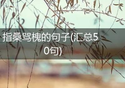 指桑骂槐的句子(汇总50句)