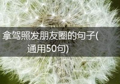 拿驾照发朋友圈的句子(通用50句)