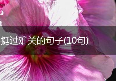 挺过难关的句子(10句)