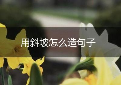 用斜坡怎么造句子
