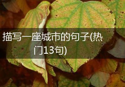 描写一座城市的句子(热门13句)