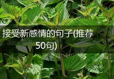 接受新感情的句子(推荐50句)