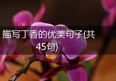 描写丁香的优美句子(共45句)