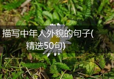 描写中年人外貌的句子(精选50句)