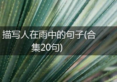 描写人在雨中的句子(合集20句)