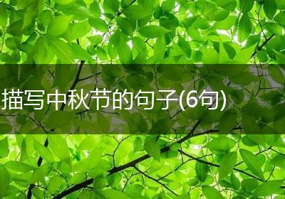 描写中秋节的句子(6句)