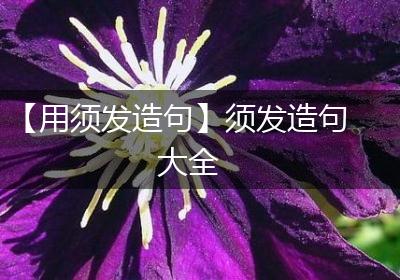 【用须发造句】须发造句大全
