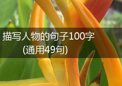 描写人物的句子100字(通用49句)