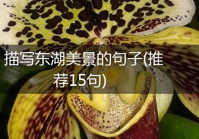描写东湖美景的句子(推荐15句)
