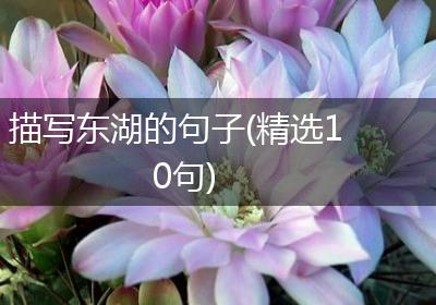 描写东湖的句子(精选10句)