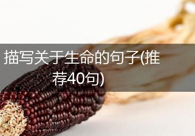 描写关于生命的句子(推荐40句)